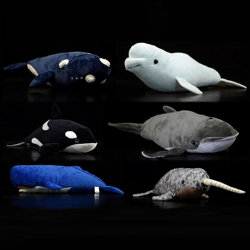 Wild Aquarium Fish - ตุ๊กตาปลาจำลอง ปลาวาฬขาว ปลานาร์วาล ปลามอบี้ดิ๊ก ปลาทะเล ปลาธรรมชาติ
