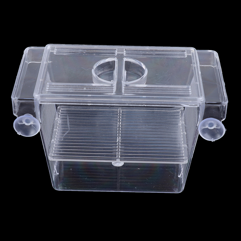 Aquarium Fish Escape - พิพิธภัณฑ์สัตว์น้ํา ตู้ปลา Guppy Double Breeding Breeder