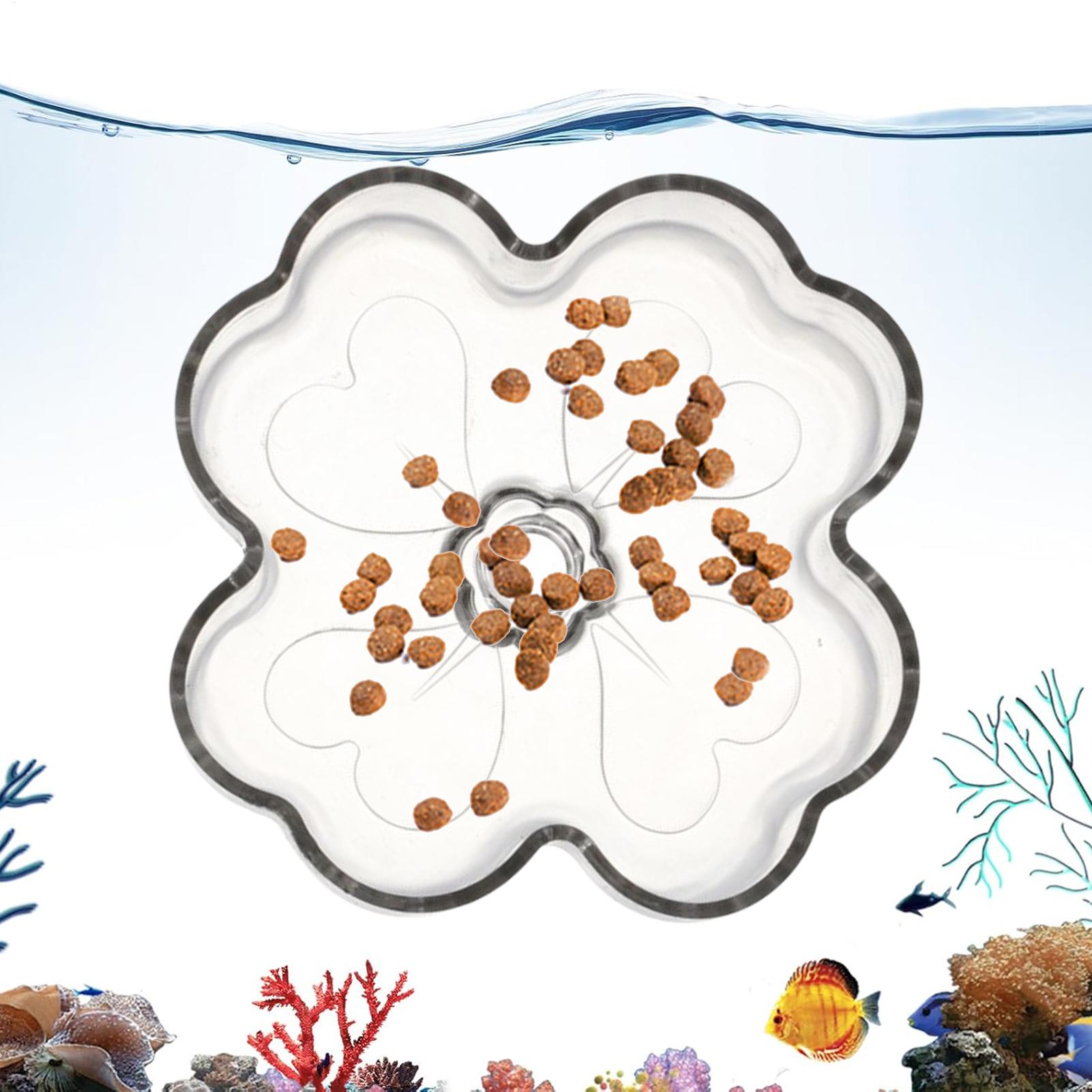 Tetra Fish In Aquarium - ถาดใส่อาหารปลาแบบติดกระจกด้วยถ้วยดูด รูปทรงดอกไม้ สำหรับเต่า ปลากัด ปลากัดเล็ก กุ้ง
