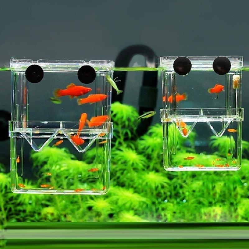 Aquarium Fish Background - กล่องเพาะพันธุ์ปลาแบบสองชั้นพิพิธภัณฑ์สัตว์น้ำสำหรับผู้เพาะพันธุ์ปลาแบบสองชั้นมีความชัดเจนสูงใช้งานได้หลากหลายรูปแบบ