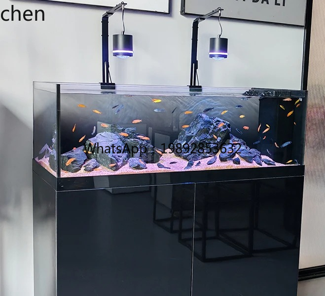 Wild Aquarium Fish - ตู้ปลาสตรีมแทงค์ คอลเลคชั่นเนทีฟไวลด์ สามทะเลสาบ ตู้ปลาสำหรับห้องนั่งเล่น พร้อมระบบกรองใต้ตู้แบบอัลตร้าไวท์