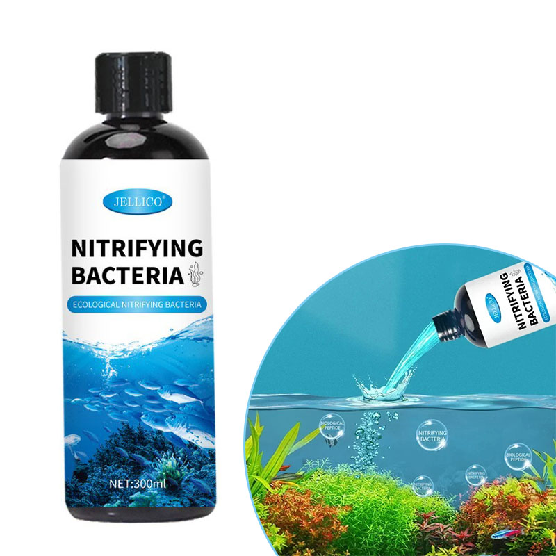 Aquarium Fish And Supplies - Nitrifying Bacteria Liquid Fish Tank เครื่องกรองน้ํา