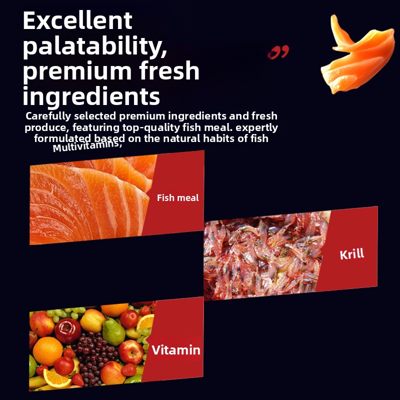อาหารปลาเม็ดเล็ก Huiqiancai แบ - Tetra Fish In Aquarium บทวิจารณ์และราคา
