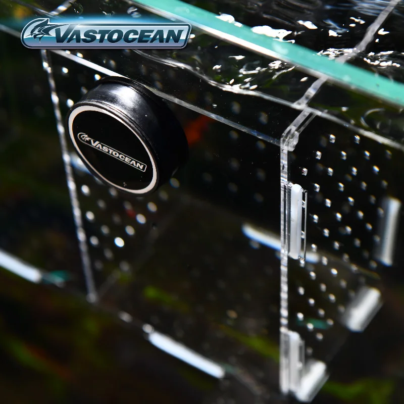 VASTOCEAN ปลาแม่เหล็กรวมอะคริล - Aquarium Fish And Supplies บทวิจารณ์และราคา