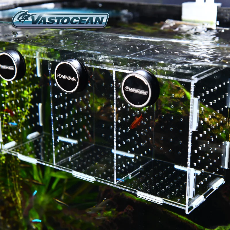 VASTOCEAN ปลาแม่เหล็กรวมอะคริล - Aquarium Fish And Supplies บทวิจารณ์และราคา