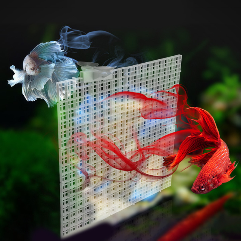 แผ่นแยกช่องตาราง30x15ซม. 30x30 - Aquarium Fish Trap บทวิจารณ์และราคา