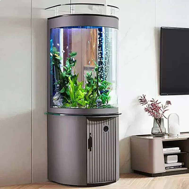 ตู้ปลาทรงครึ่งวงกลม ZL พร้อมกร - Aquarium Fish Low Maintenance บทวิจารณ์และราคา