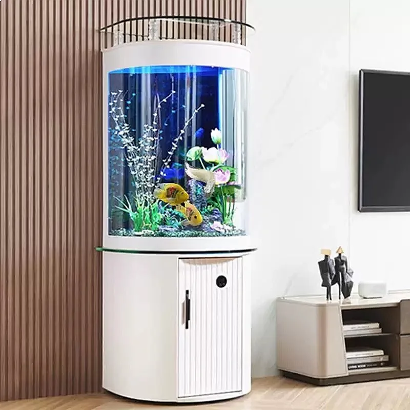 ตู้ปลาทรงครึ่งวงกลม ZL พร้อมกร - Aquarium Fish Low Maintenance บทวิจารณ์และราคา
