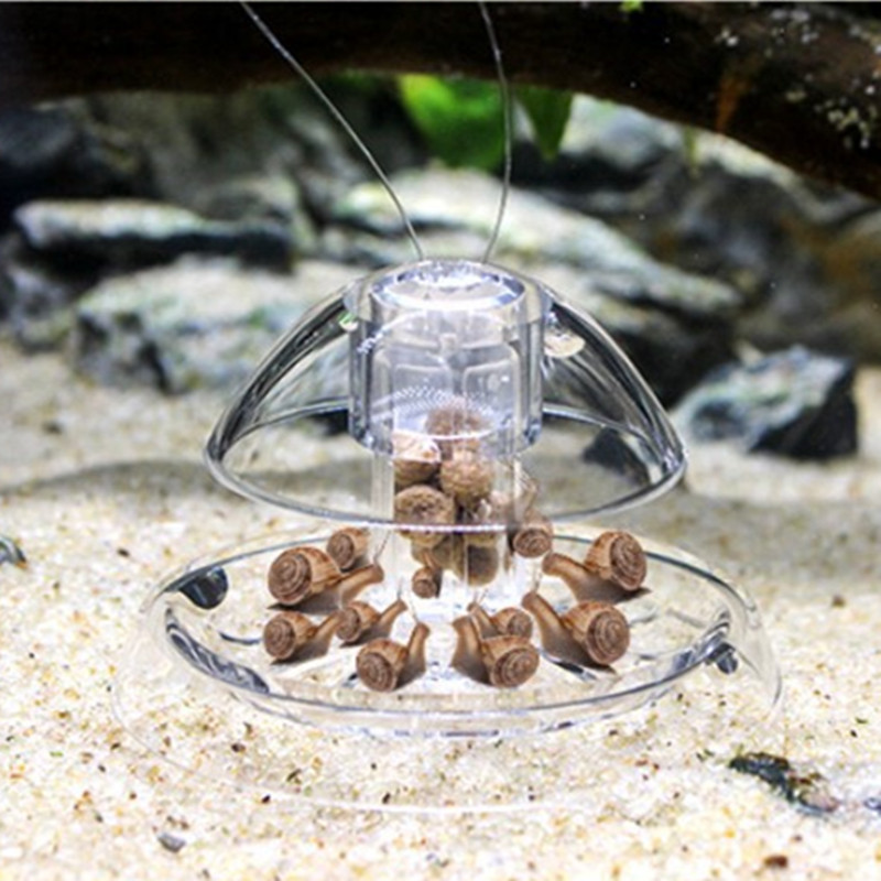 1PCS Fish TANK Aquarium CLEANE - Aquarium Fish Escape บทวิจารณ์และราคา