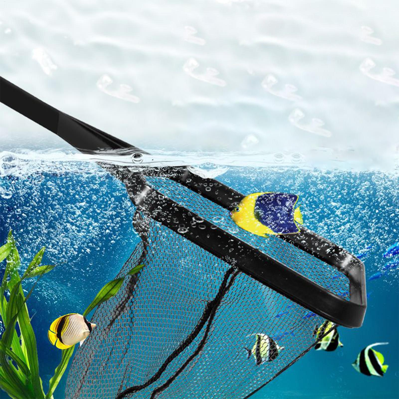 ตาข่ายสระน้ำ ถังปลา ตาข่ายกู้ภ - Aquarium Fish Trap บทวิจารณ์และราคา