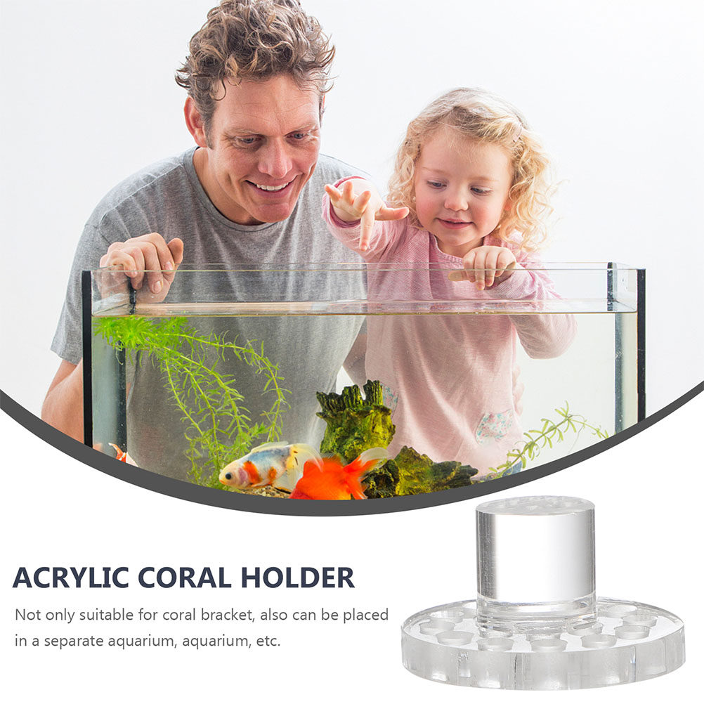 ฐานวางอะคริลิคสำหรับติดตั้งปะก - Aquarium Fish And Supplies บทวิจารณ์และราคา