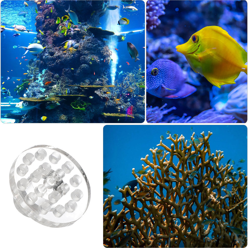 ฐานวางอะคริลิคสำหรับติดตั้งปะก - Aquarium Fish And Supplies บทวิจารณ์และราคา