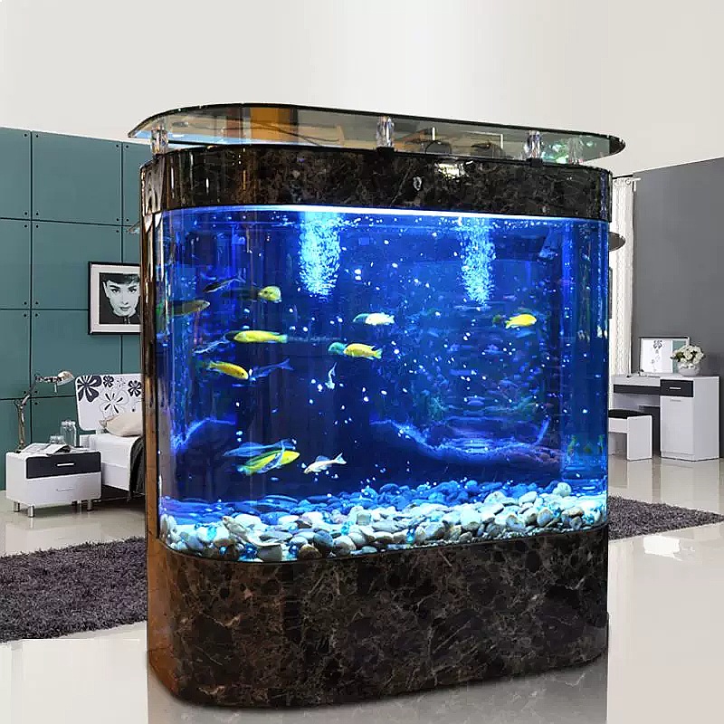 ตู้ปลาโค้งขนาดใหญ่แบบตั้งพื้น  - Aquarium Fish Low Maintenance บทวิจารณ์และราคา