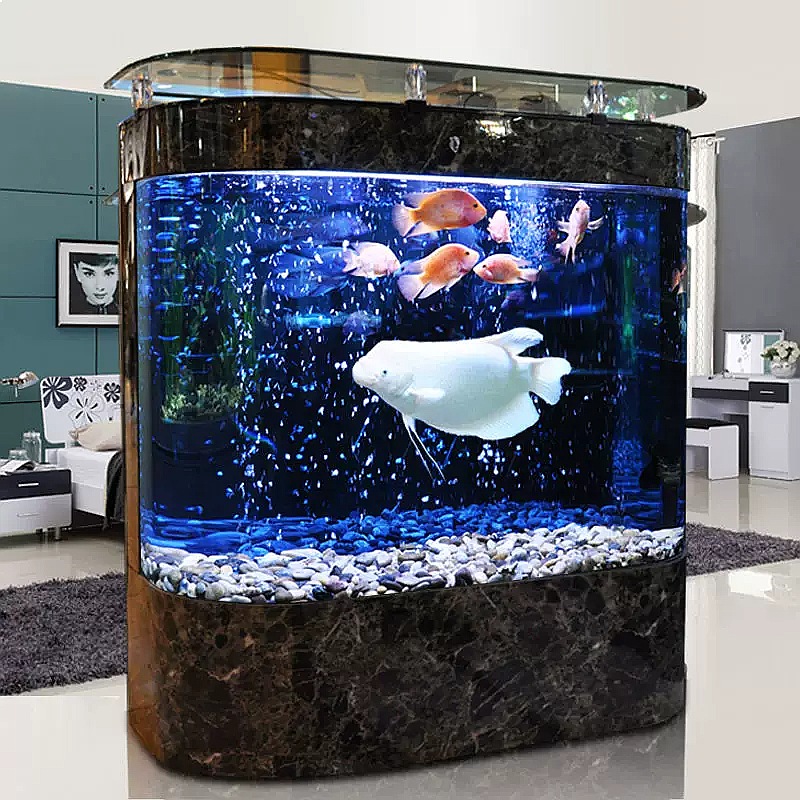 ตู้ปลาโค้งขนาดใหญ่แบบตั้งพื้น  - Aquarium Fish Low Maintenance บทวิจารณ์และราคา