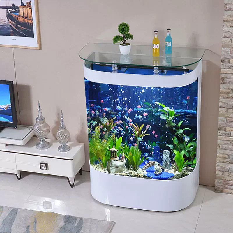 ตู้ปลาโค้งขนาดใหญ่แบบตั้งพื้น  - Aquarium Fish Low Maintenance บทวิจารณ์และราคา