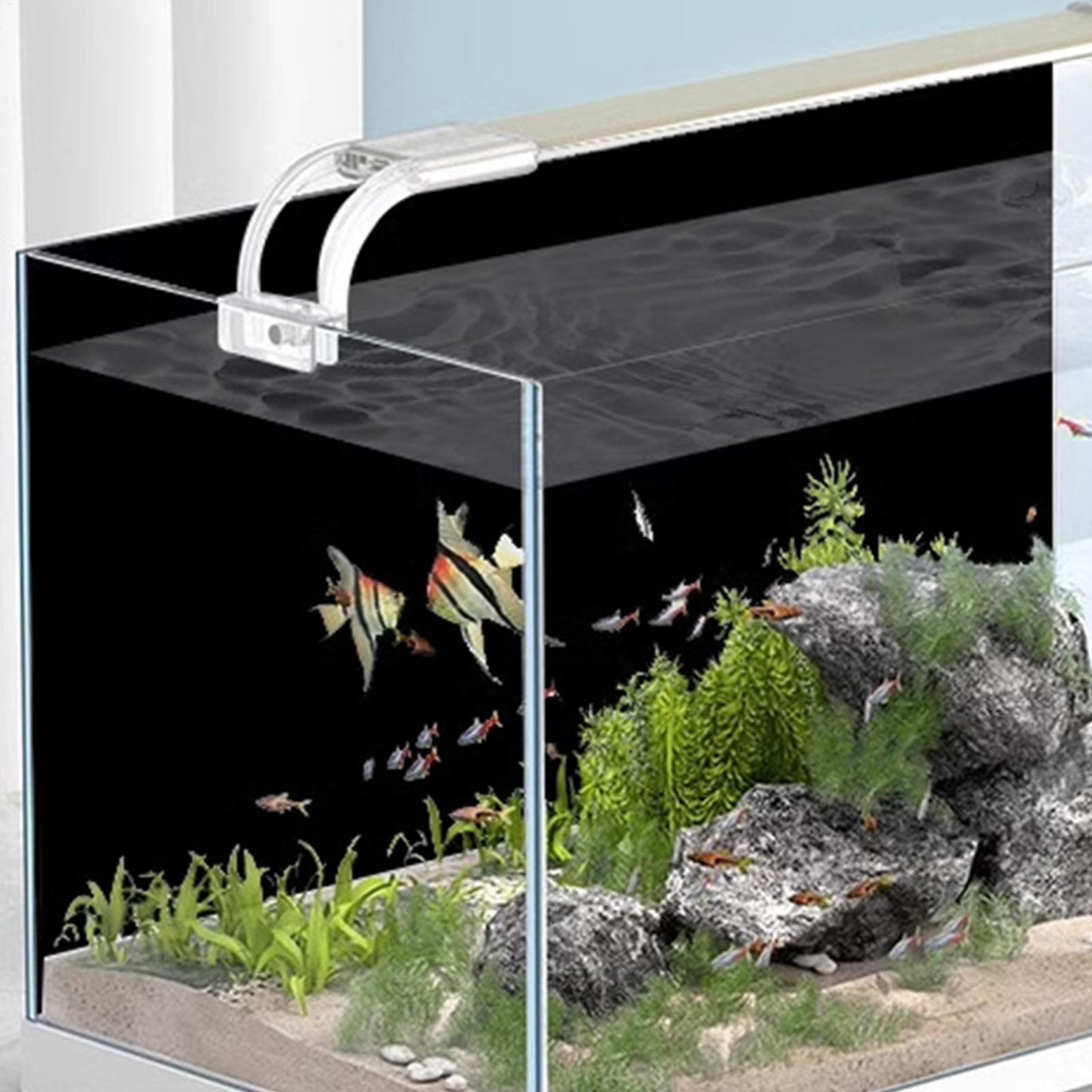ฉากหลังตู้ปลาสีดำแบบติดด้วยไฟฟ - Aquarium Fish Background บทวิจารณ์และราคา