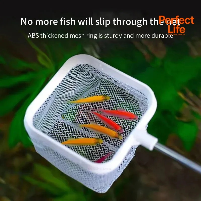 1、2 ชิ้น ตาข่ายดักปลาสแตนเลส ท - Aquarium Fish Trap บทวิจารณ์และราคา
