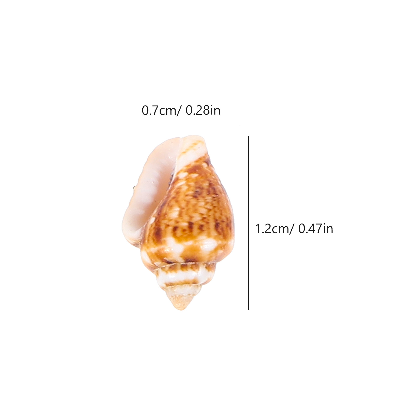 1 กล่องเปลือกหอยธรรมชาติขนาดเล - Aquarium Mini Fish บทวิจารณ์และราคา