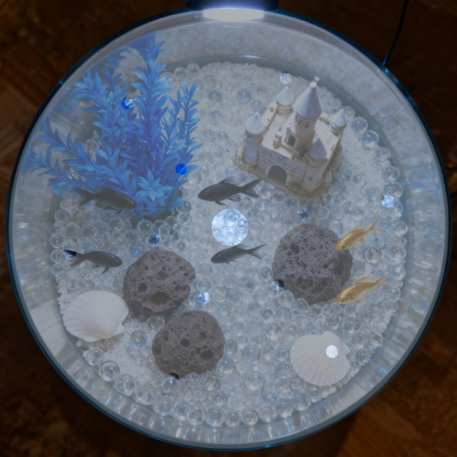 ฝาครอบตู้ปลาอะคริลิคทรงกลม ขนา - Aquarium Fish Escape บทวิจารณ์และราคา