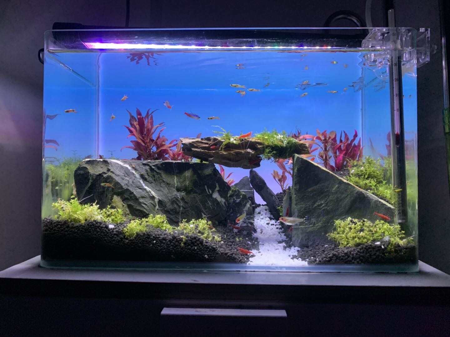 ไฟตู้ปลาเปลี่ยนสี RGB, ไฟพื้นห - Aquarium Fish Background บทวิจารณ์และราคา