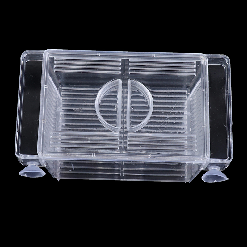 พิพิธภัณฑ์สัตว์น้ํา ตู้ปลา Gup - Aquarium Fish Escape บทวิจารณ์และราคา