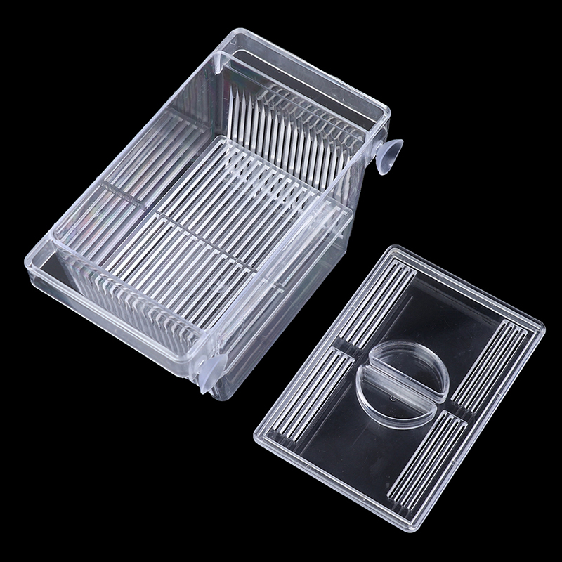 พิพิธภัณฑ์สัตว์น้ํา ตู้ปลา Gup - Aquarium Fish Escape บทวิจารณ์และราคา