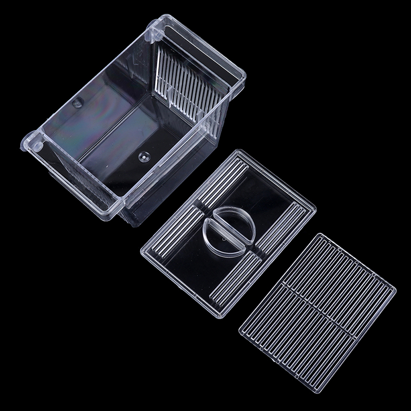 พิพิธภัณฑ์สัตว์น้ํา ตู้ปลา Gup - Aquarium Fish Escape บทวิจารณ์และราคา