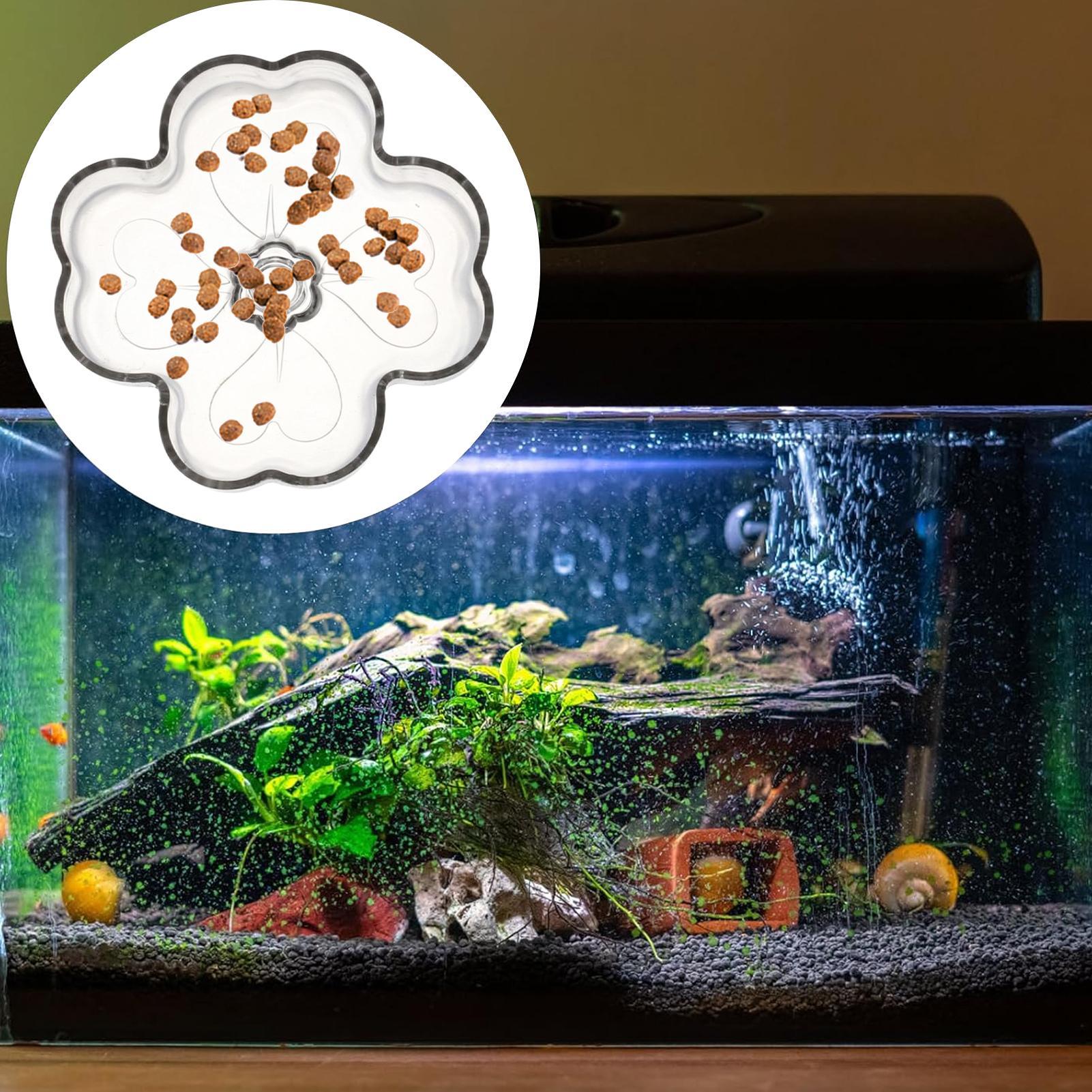 ถาดใส่อาหารปลาแบบติดกระจกด้วยถ - Tetra Fish In Aquarium บทวิจารณ์และราคา