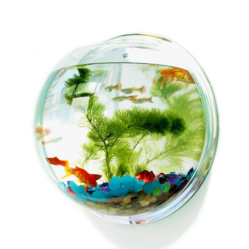 Pinsjar อะคริลิคชามปลาแขวนผนัง - Aquarium Fish Background บทวิจารณ์และราคา