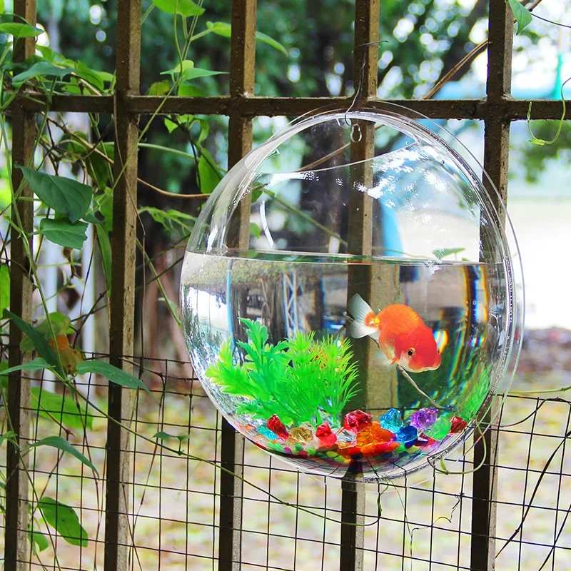 Pinsjar อะคริลิคชามปลาแขวนผนัง - Aquarium Fish Background บทวิจารณ์และราคา