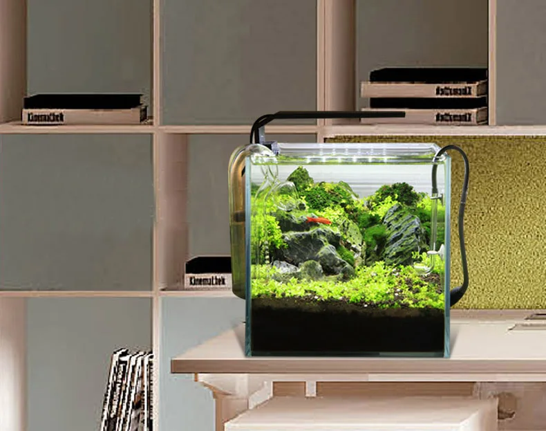 Chihiros C Series ADA สไตล์พืช - Aquarium Fish Background บทวิจารณ์และราคา