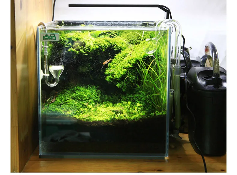 Chihiros C Series ADA สไตล์พืช - Aquarium Fish Background บทวิจารณ์และราคา