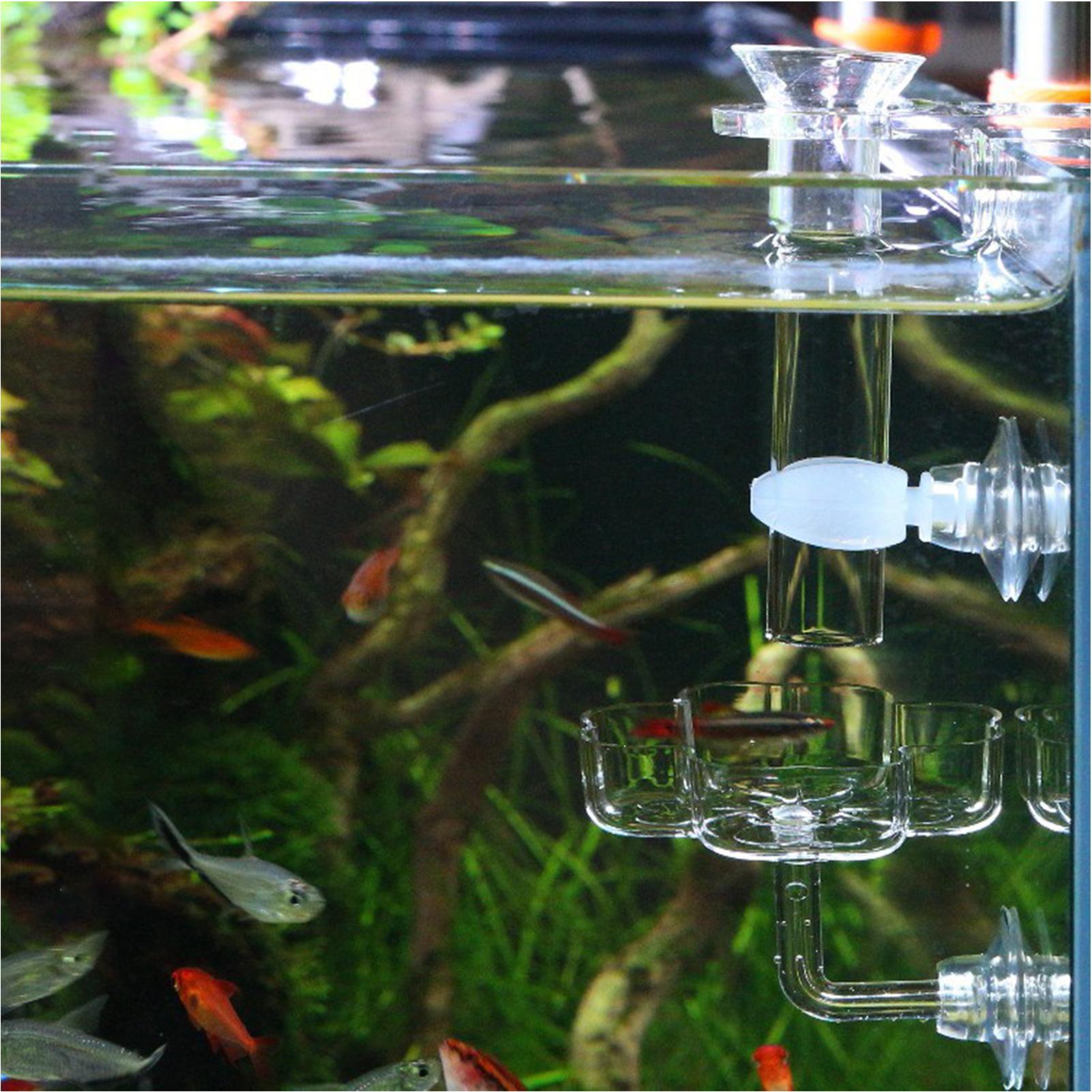 ถาดให้อาหารปลาแบบถ้วยดูด รูปทร - Tetra Fish In Aquarium บทวิจารณ์และราคา