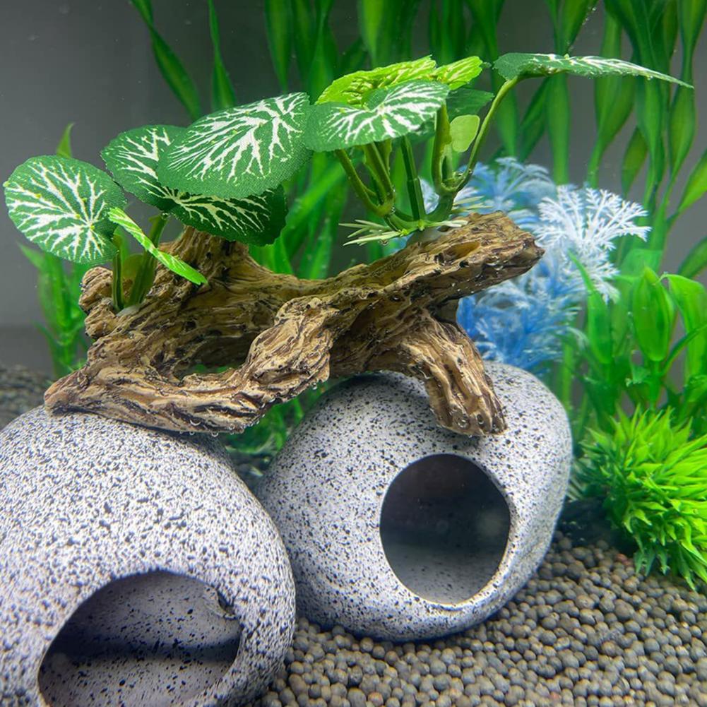 ของตกแต่งตู้ปลาที่ไม่ต้องดูแลม - Aquarium Fish Low Maintenance บทวิจารณ์และราคา