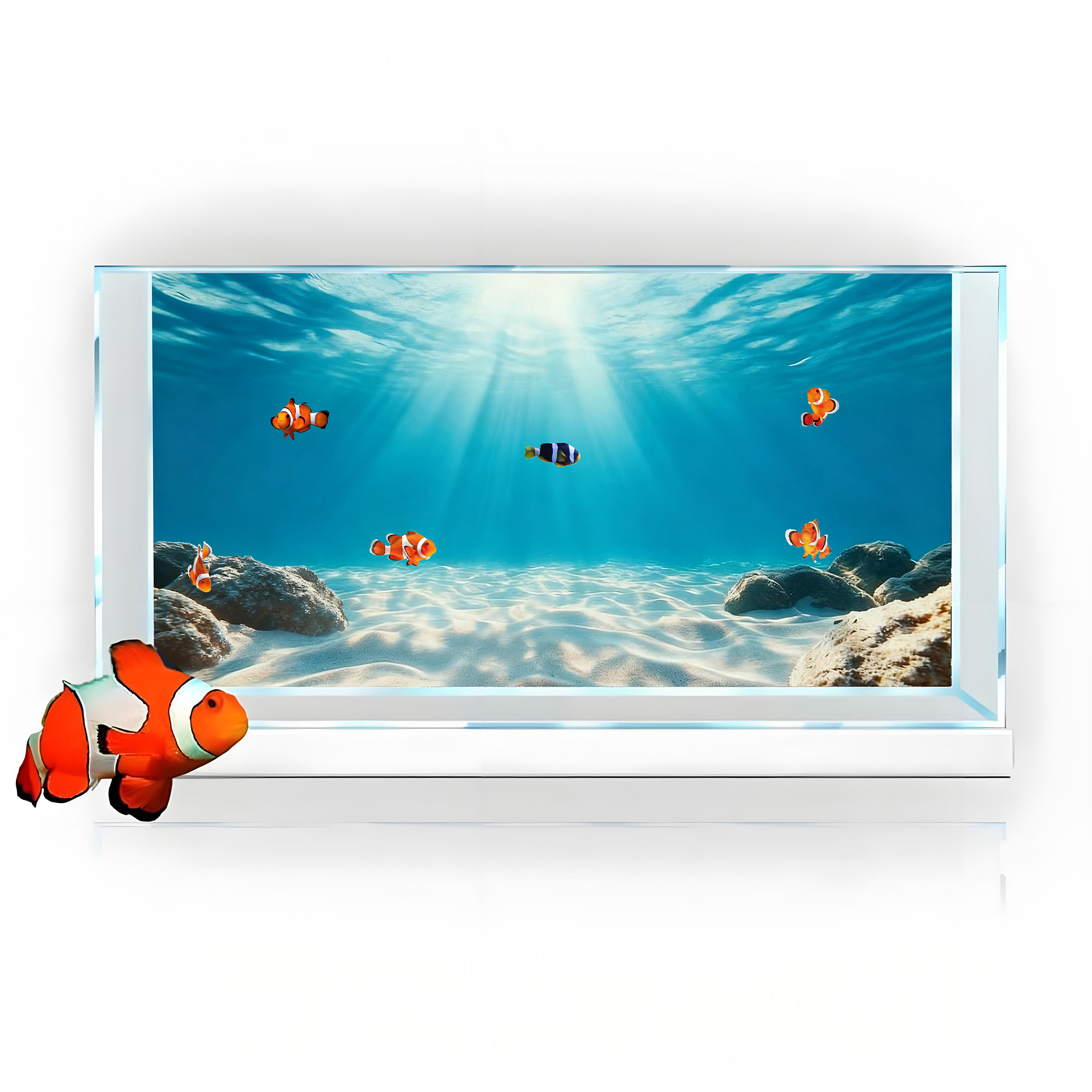 ทรายสีฟ้าใส ภาพวาดพื้นหลังตู้ป - Aquarium Fish Background บทวิจารณ์และราคา