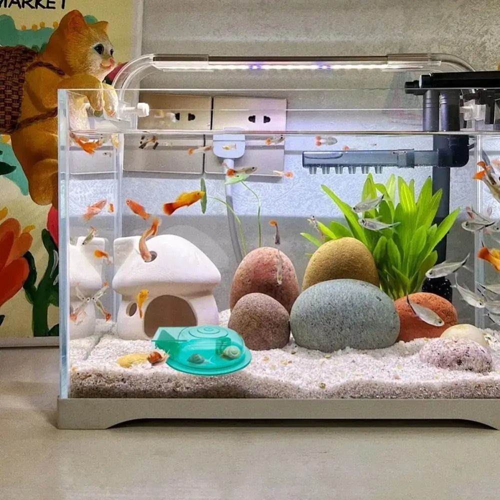 กับดักหอยทากในตู้ปลา น้ำจืด น้ - Aquarium Fish Trap บทวิจารณ์และราคา