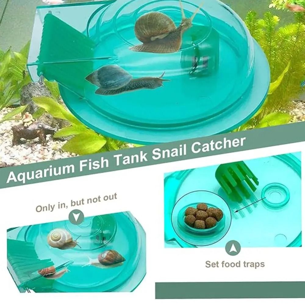 กับดักหอยทากในตู้ปลา น้ำจืด น้ - Aquarium Fish Trap บทวิจารณ์และราคา