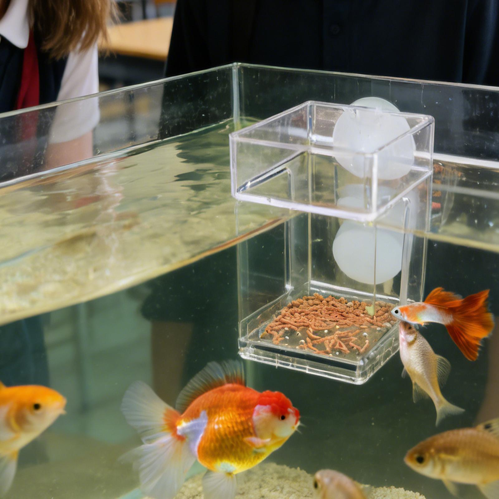 ถาดใส่อาหารปลาแบบติดตู้ปลา ถาด - Tetra Fish In Aquarium บทวิจารณ์และราคา