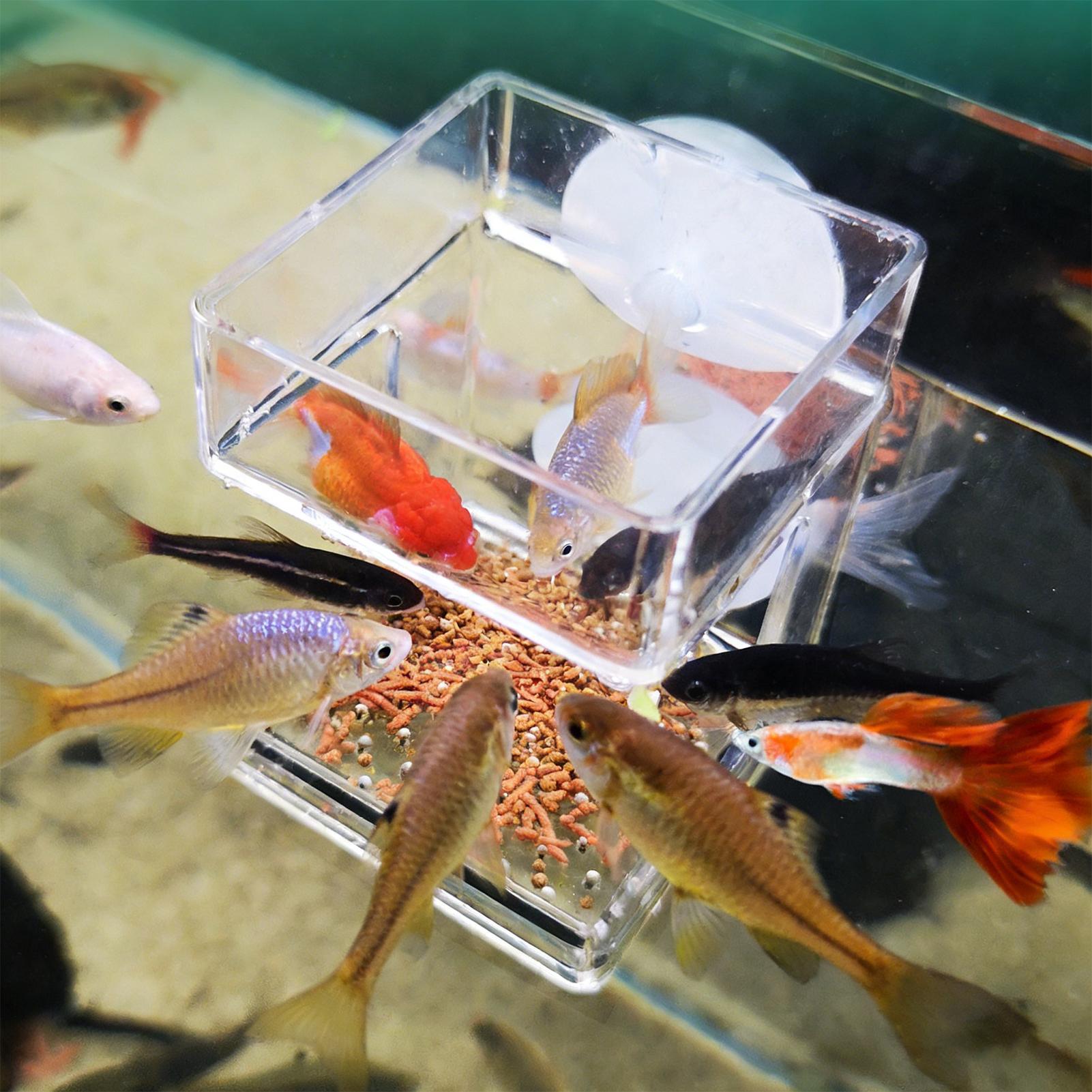 ถาดใส่อาหารปลาแบบติดตู้ปลา ถาด - Tetra Fish In Aquarium บทวิจารณ์และราคา