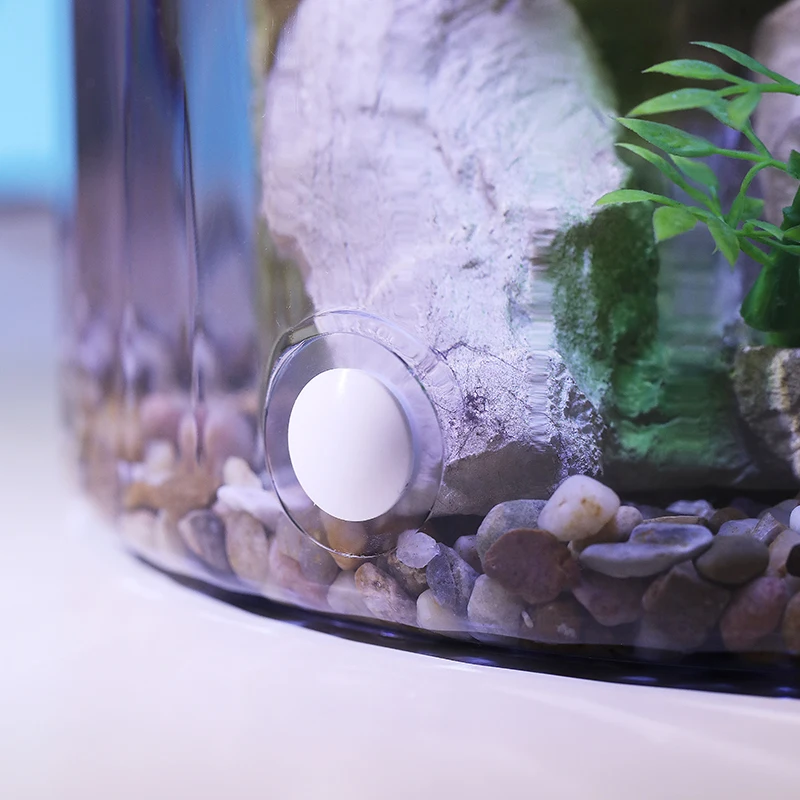 ตู้ปลาทรงกลมขนาดเล็กสีทอง - ระ - Aquarium Fish Low Maintenance บทวิจารณ์และราคา