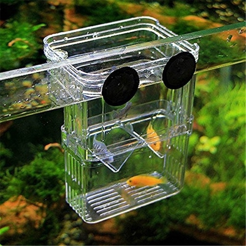 กล่องเพาะพันธุ์ปลาแบบสองชั้นพิ - Aquarium Fish Background บทวิจารณ์และราคา