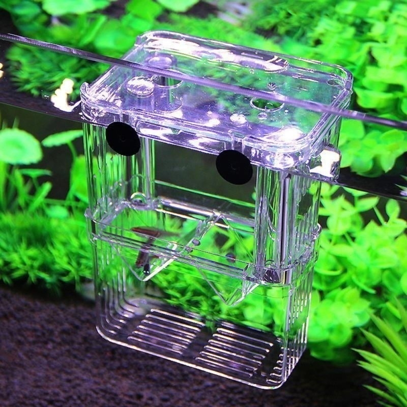กล่องเพาะพันธุ์ปลาแบบสองชั้นพิ - Aquarium Fish Background บทวิจารณ์และราคา