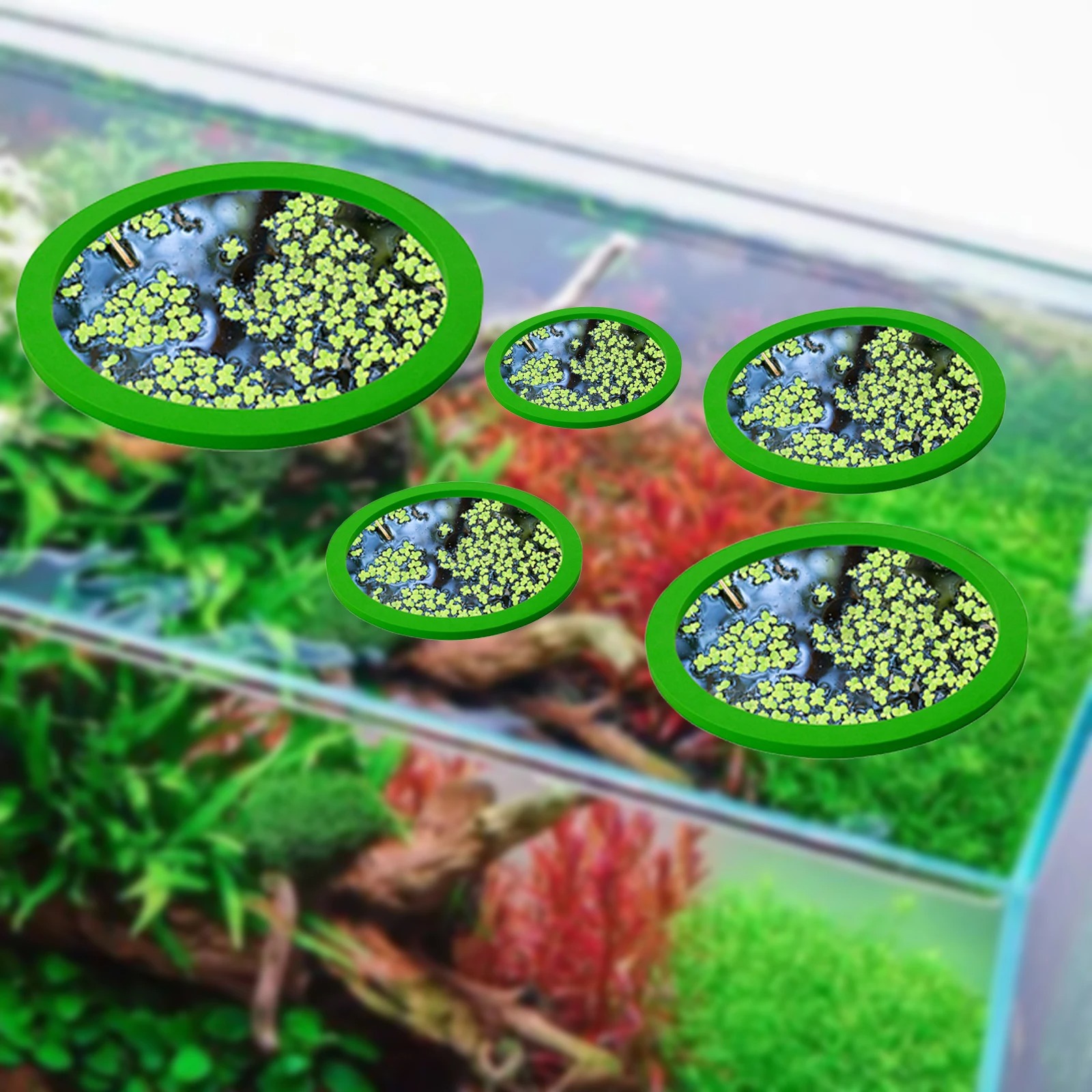 5 ชิ้น EVA ปลา Feeding แหวน Aq - Aquarium Fish Bowl บทวิจารณ์และราคา