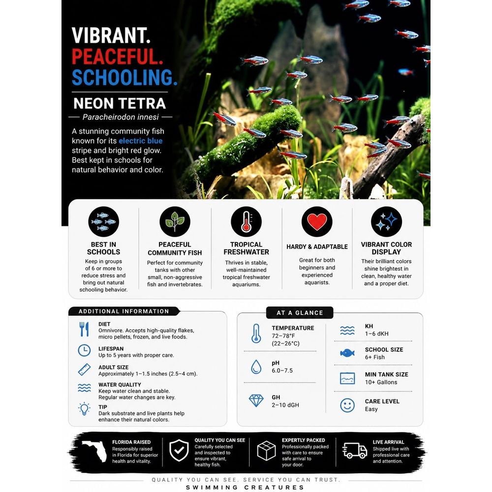 ปลาเตตร้านีออนน้ำจืด (ขนาด: 1. - Tetra Fish In Aquarium บทวิจารณ์และราคา