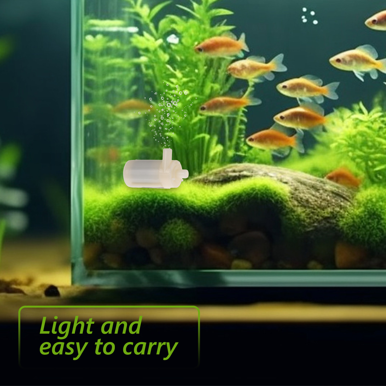 ปั๊มน้ำแบบไร้แปรงถ่านขนาดเล็ก  - Aquarium Fish Low Maintenance บทวิจารณ์และราคา