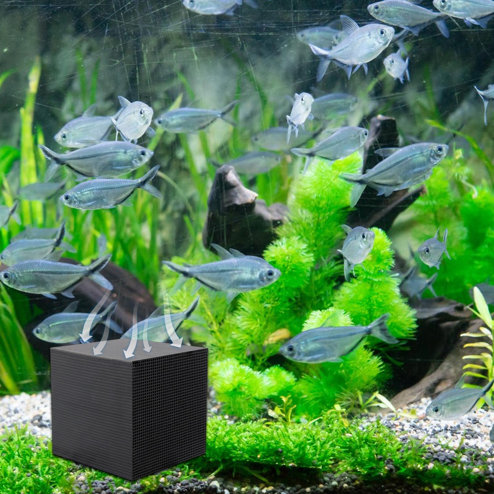 เครื่องกรองน้ําในตู้ปลา Cube W - Aquarium Fish Background บทวิจารณ์และราคา