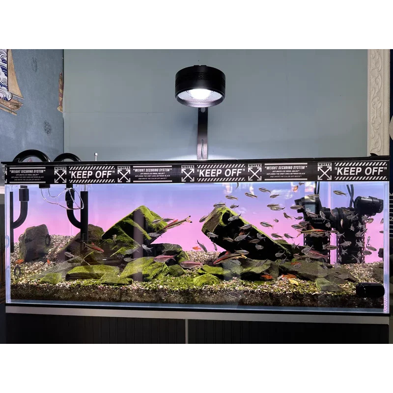 ฉากหลังตู้ปลาอะคริลิค RGB สีสั - Aquarium Fish Colour บทวิจารณ์และราคา