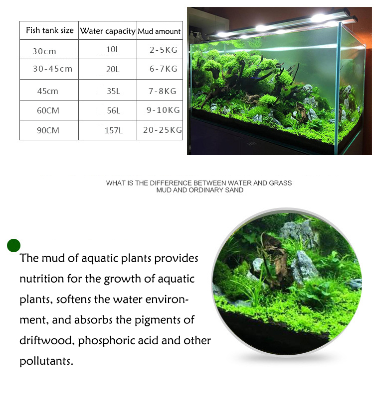 พิพิธภัณฑ์สัตว์น้ำเมล็ดพืชดิน  - Aquarium Fish Background บทวิจารณ์และราคา