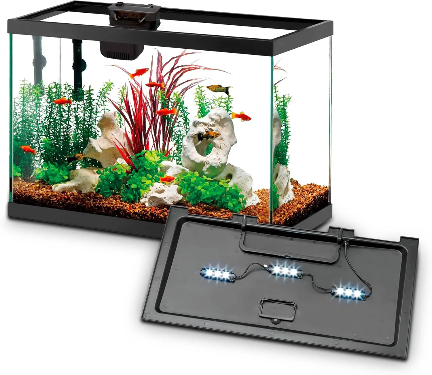 ชุดเริ่มต้นตู้ปลาพร้อมระบบกรอง - Tetra Fish In Aquarium บทวิจารณ์และราคา