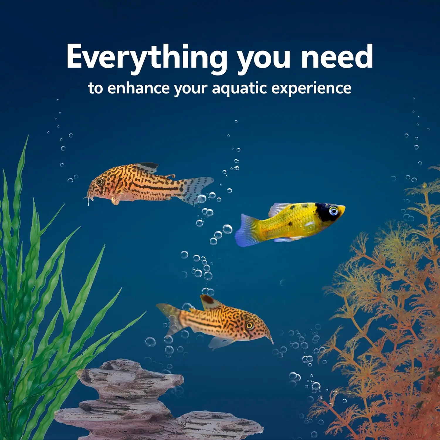 ชุดเริ่มต้นตู้ปลาพร้อมระบบกรอง - Tetra Fish In Aquarium บทวิจารณ์และราคา